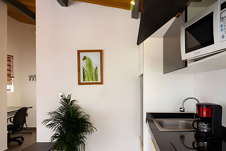 Loft Urbano Confort Ejecutivo