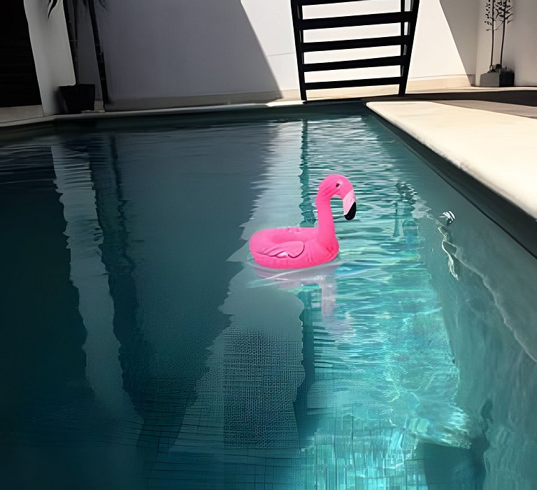 Poolside Suite Celaya